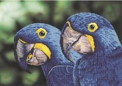 Blue Hyacinth Macaws Diamond Dotz 52x37 Cm
