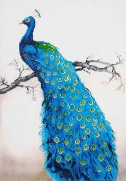 Blue Peacock Diamond Dotz: 60x84 Cm