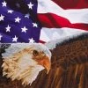 Eagle With American Flag Diamond Dotz: 71x56 Cm