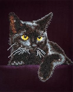Midnight Cat Diamond Dotz: 28x36 Cm