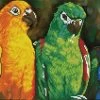 Rainbow Parrots Diamond Dotz: 77x30 Cm 1 Rainbow Parrots Diamond Dotz: 77x30 Cm -Kinderspeelgoed Winkel diamond dotz rainbow parrots diamond dotz 77x30 cm