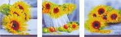 Sunflower Days Diamond Dotz: 142x42 Cm