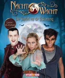 Luisterboek Nachtwacht