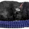 Perfect Petzzz Soft Black Lab -Kinderspeelgoed Winkel perfect petzzz perfect petzzz soft black lab