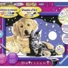 Ravensburger Hond En Kat Schilderen Op Nummer -Kinderspeelgoed Winkel ravensburger hond en kat schilderen op nummer