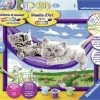 Ravensburger Kittens In De Hangmat Schilderen Op Nummer -Kinderspeelgoed Winkel ravensburger kittens in de hangmat schilderen op n