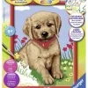 Ravensburger Puppy Schilderen Op Nummer -Kinderspeelgoed Winkel ravensburger puppy schilderen op nummer