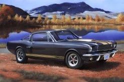 Shelby Mustang GT350H Revell: Schaal 1:24 -Kinderspeelgoed Winkel revell vehicles shelby mustang gt350h revell schaa 3