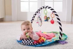 Freddie De Vuurvlieg Speelgym Tomy Lamaze -Kinderspeelgoed Winkel tomy freddie de vuurvlieg speelgym tomy lamaze 8